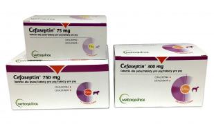 Cefaseptin